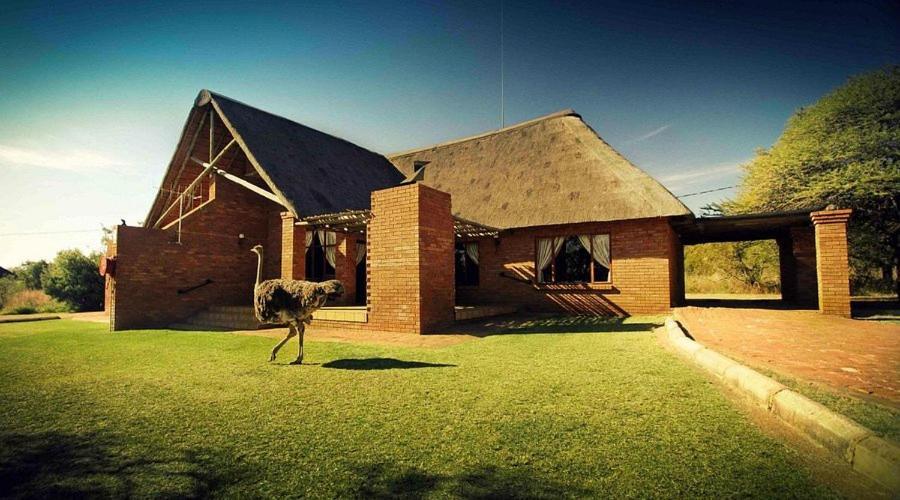 Monateng Safari Lodge Wallmannstal Exterior photo